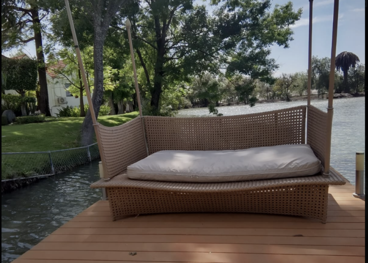 Vicente Fox presume regalo de Ricardo Salinas Pliego y le manda mensaje de apoyo